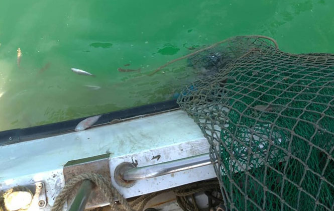 Mersin'de Kaçak Trol Denetimi