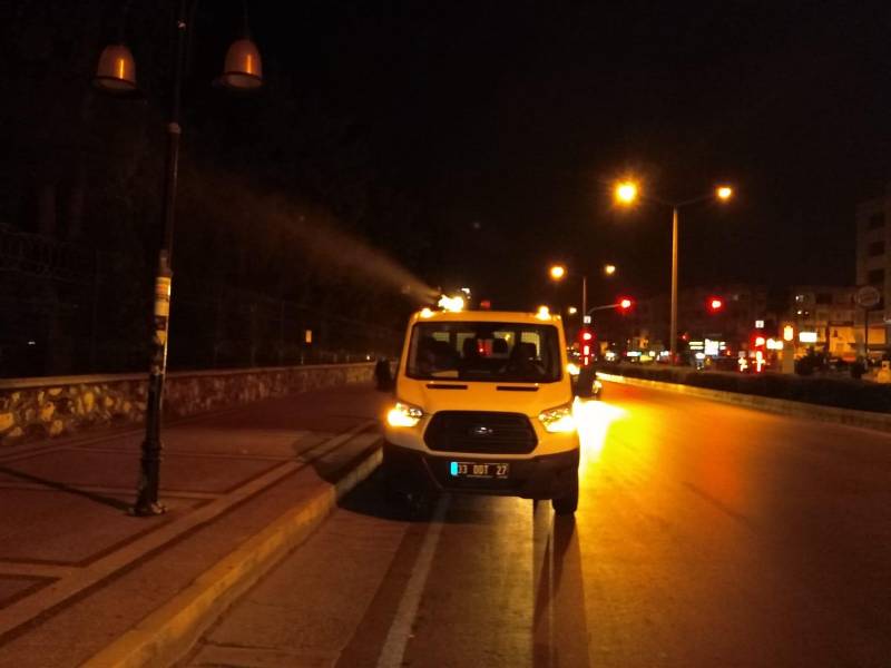 Yeşil alanlarda Beyaz Sinekle mücadele!