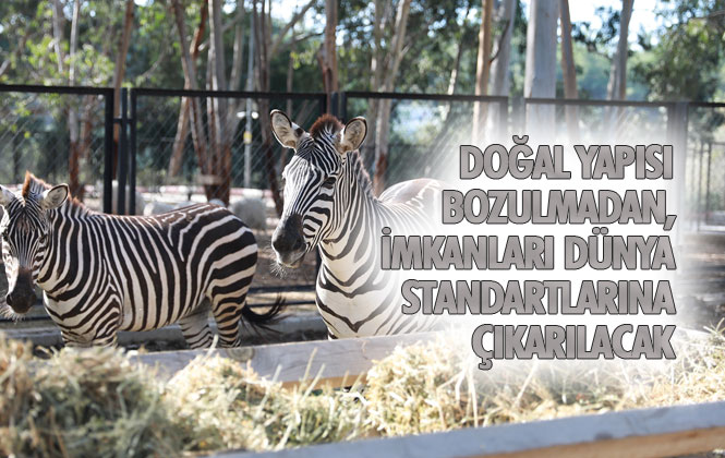 Revizyon Çalışması Başlatılacak Olan Tarsus Hayvan Parkında Hayvan Sayısı da Artırılacak