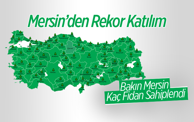 Mersin'de Fidan Sahiplenme Oranı