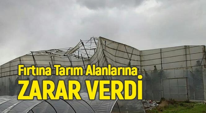 Mersin'in Anamur İlçesinde Etkili Olan Fırtına Tarım Alanlarına Zarar Verdi