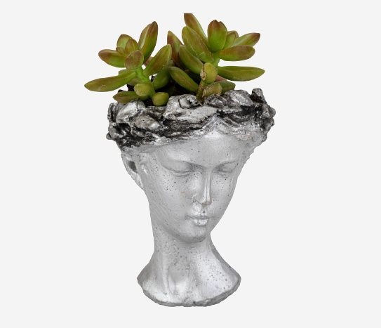 Dekoratif Sukulent Saksısı