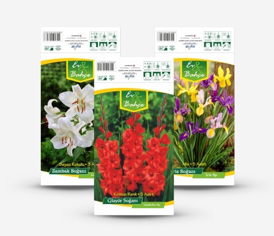 Çiçek Soğanı Çeşitleri