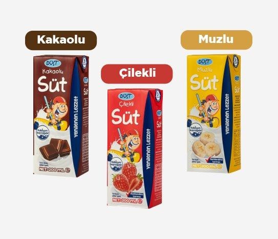 Dost - Süt Çeşitleri