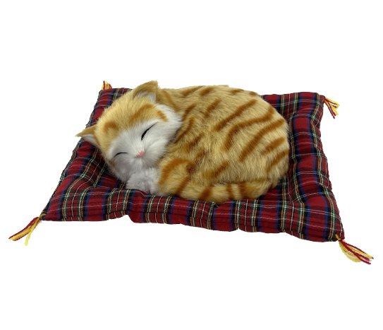 Minder Üstünde Uyuyan Kedi