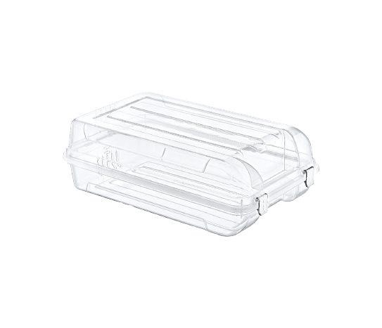 Ayakkabı Kutusu Kadın