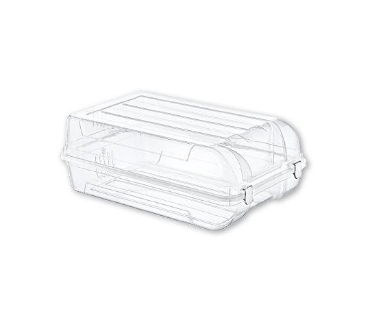 Ayakkabı Kutusu Erkek