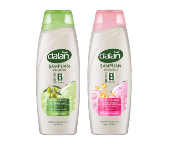 Dalan Şampuan
