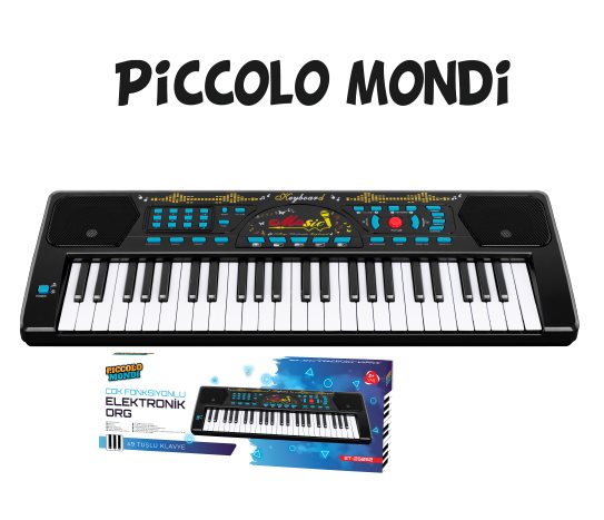 Çok Fonksiyonlu Elektronik Org