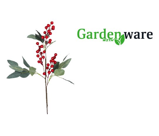 Gardenware Dal Kokina Çiçeği