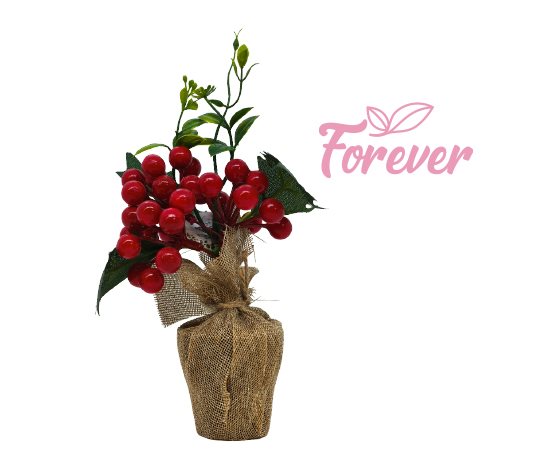 Forever Kokina Çiçeği