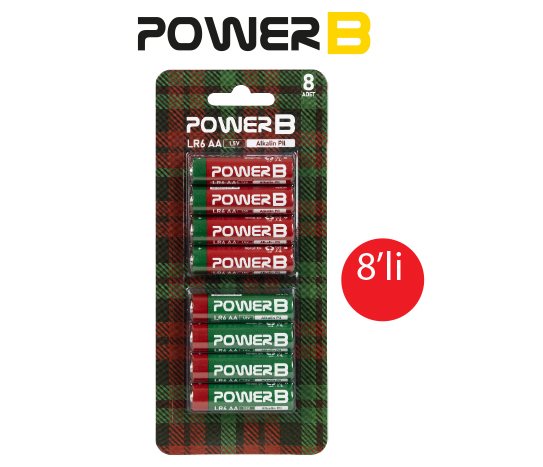 Powerb Alkalin Kalem Pil AA