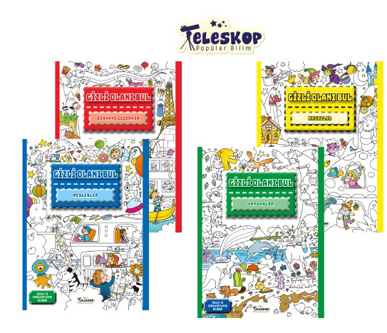 Gizli Olanı Bul Kitapları