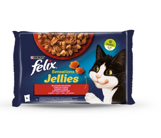 Felix Kedi Yaş Mama