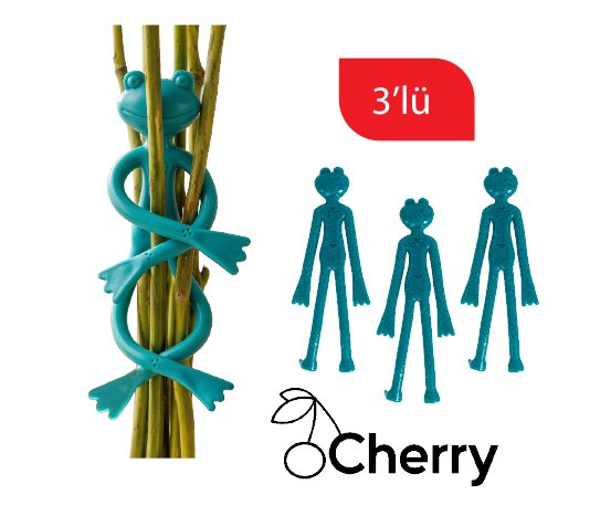 Bitki Bağlama Kurbağaları ~14 cm