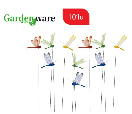 Dekoratif Yusufçuk ~8,5 cm