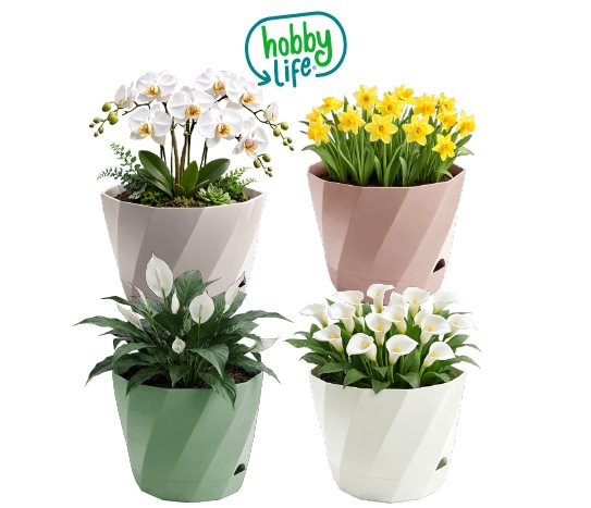 Sakura Saksı ~4,8 L