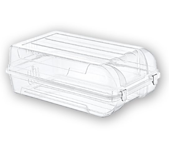 Ayakkabı Kutusu Erkek