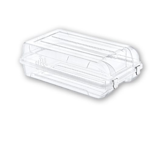 Ayakkabı Kutusu Kadın