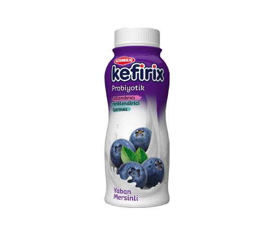 Altınkılıç Yaban Mersinli Kefir