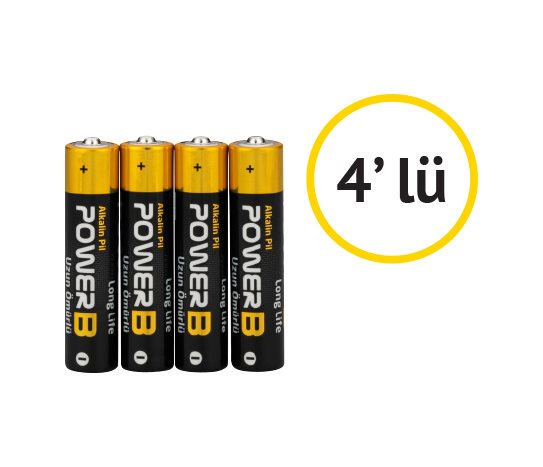 Power-B Alkalin İnce Pil