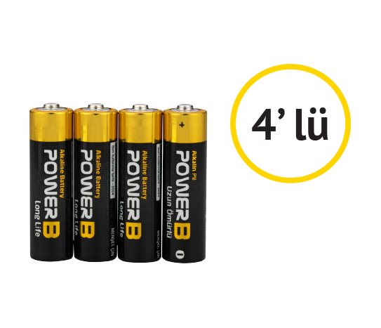 Power-B Alkalin Kalem Pil