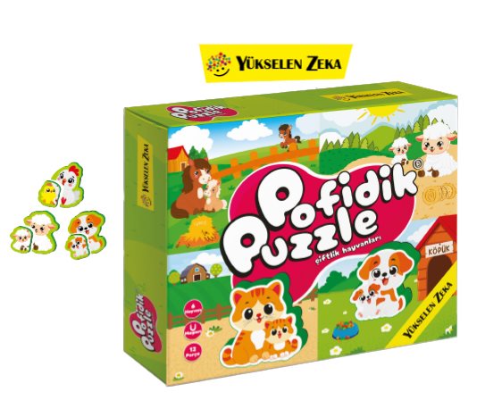 YÜKSELEN ZEKA 6-16 AY İLK POFİDİK MAGNET PUZZLE
