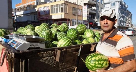 Güz karpuzu çiftçileri sevindirdi!