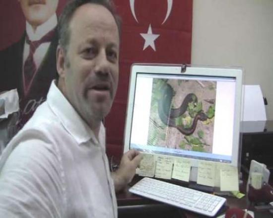 Boynuzlu Engerek Yılanı Yabancıların Tehdidi Altında