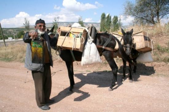 Anadolunun Son Katrancısı