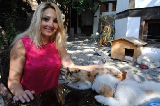 Kedi Ve Köpekleri Barıştıran Pansiyon