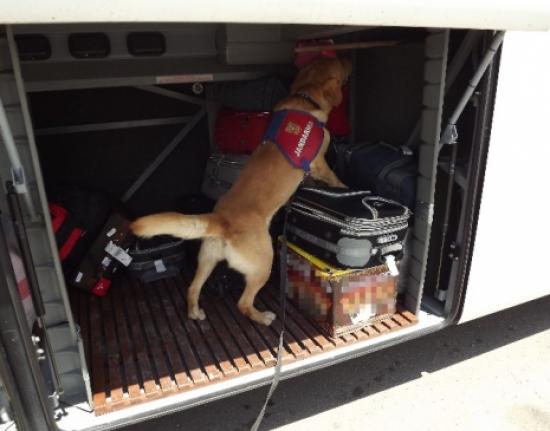 Ağrı'da Kaçakçılık Operasyonu