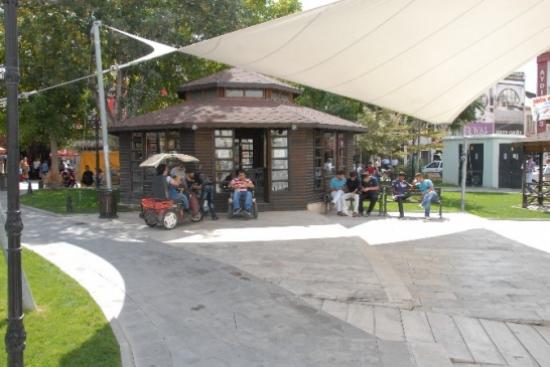 Karaman'da Engelliler Kuğulu Park'ta Buluşuyor