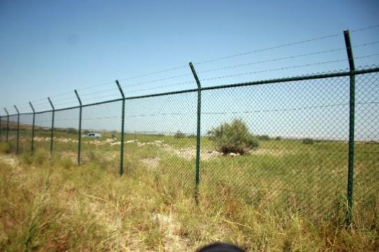 Ağrı Dağı'nda Artık Ceylanlar Gezecek