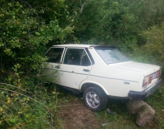 Yoldan Çıkan Otomobil Çalılıklara Uçtu: 1 Yaralı