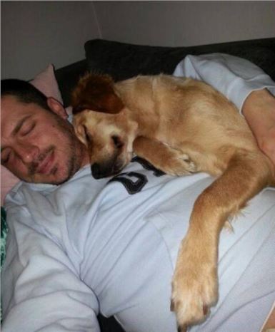 Köpeğin İnanılmaz Sevgi Gösterisi Kamerada