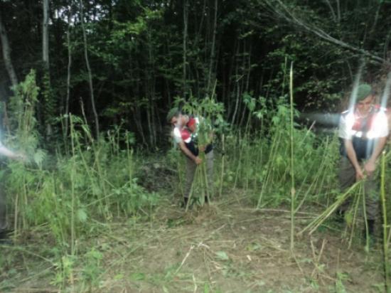 Jandarmadan Nefes Kesen Operasyon