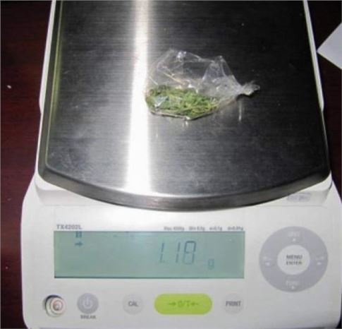 Afyonkarahisar'da 22 Adet Satışa Hazır Bonzai Ele Geçirildi