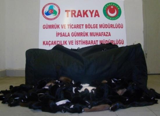 Valizden 32 Bin Tl Değerinde Vizon Kürk Çıktı