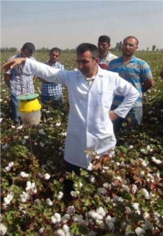 Çiftçilere Pamuk Yetiştiriciliği İle İlgili Bilgi Verildi
