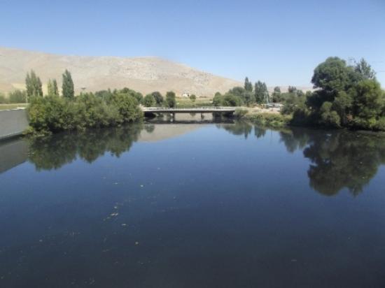 Balık Ölümleri Mercek Altında