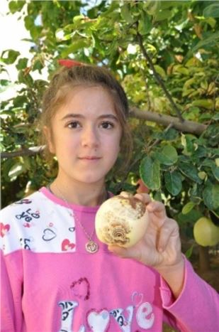 Ayvadaki Şekiller Şaşırttı