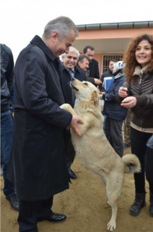 İlçelerde Sokak Hayvanları İçin Klinikler Kurulacak