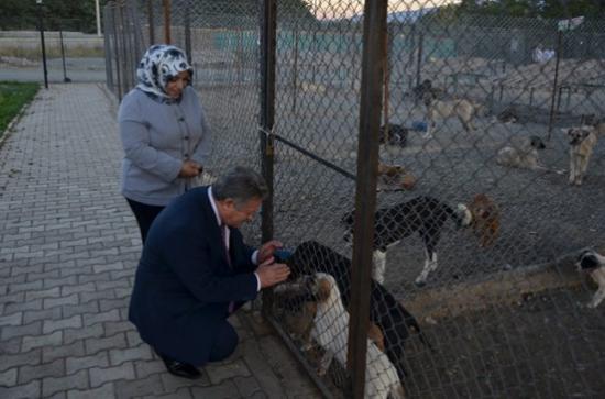 Erzincan Valisi Süleyman Kahraman Hayvan Barınağında İncelemelerde Bulundu