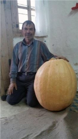 Gümüşhane'de 50 Kiloluk Kabak Yetiştirdi