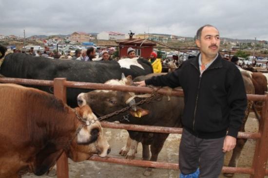 Gıda Tarım Ve Hayvancılık İl Müdürü Yılmaz'dan Kurbanlık Alacaklara Uyarı
