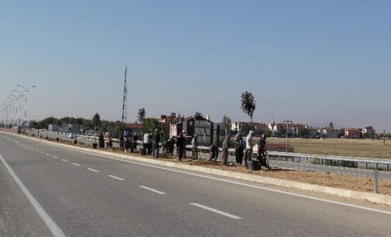 Cihanbeyli'de Refüjler Yeşilleniyor