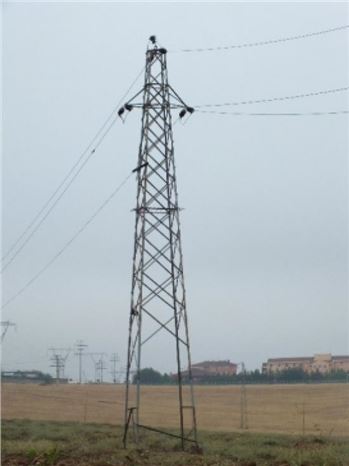 Enerji Nakil Hatları Tehlike Altında