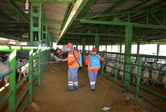 Canlı Hayvan Pazarı İlaçlandı