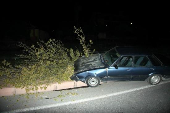 Otomobil Ağacı Yerinden Söktü